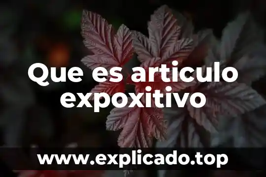En administración que es diseño 8 Que es articulo expoxitivo