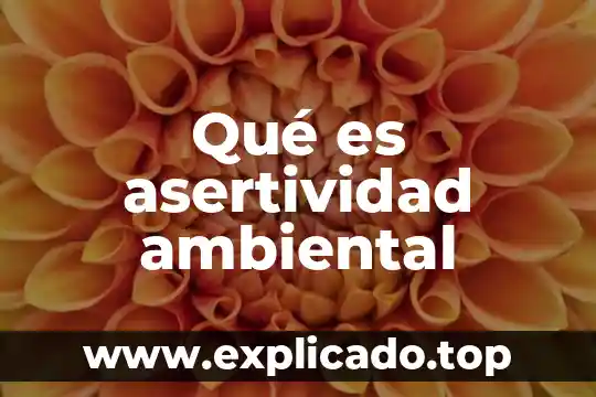 Que es la complejidad ambiental número de interfases externas 4 Qué es asertividad ambiental