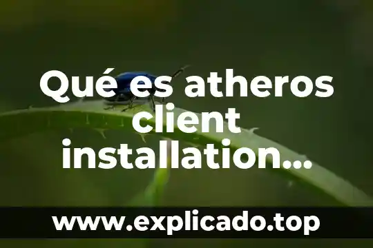 Que es el alien flight student program 3 Qué es atheros client installation program