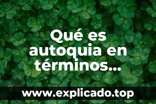 En terminos contables que es pasivo 4 Qué es autoquia en términos históricos