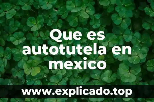 Qué es certificación institucional México 4 Que es autotutela en mexico
