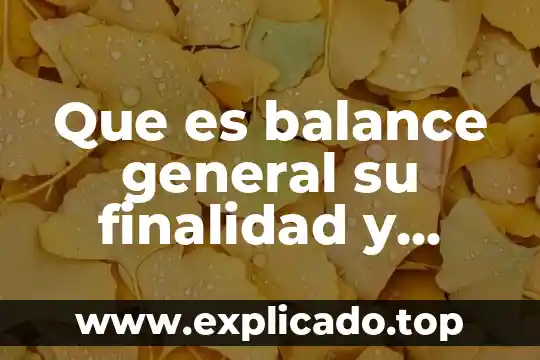 Que es el mantenimiento general de vehiculos prenventivos y correctivo 5 Que es balance general su finalidad y objetivo