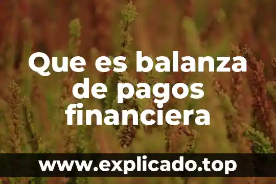Que es balance pagos 8 Que es balanza de pagos financiera