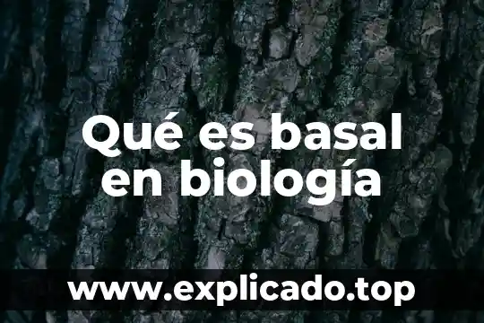 Qué es la distancia de trabajo en biología 4 Qué es basal en biología