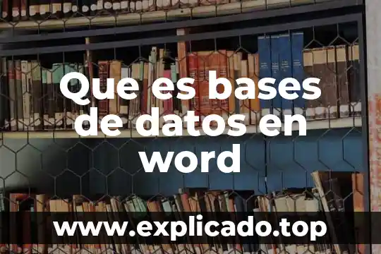 Qué es un esquema en bases de datos 3 Que es bases de datos en word