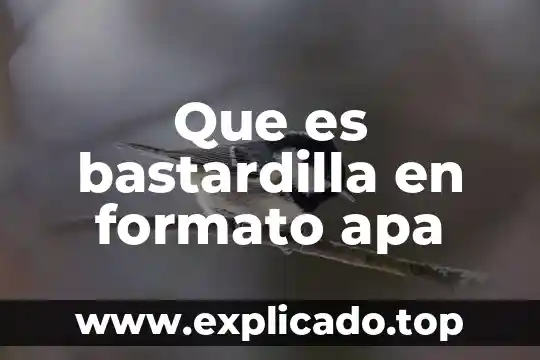 Que es reconocimiento del formato del enunciado 5 Que es bastardilla en formato apa