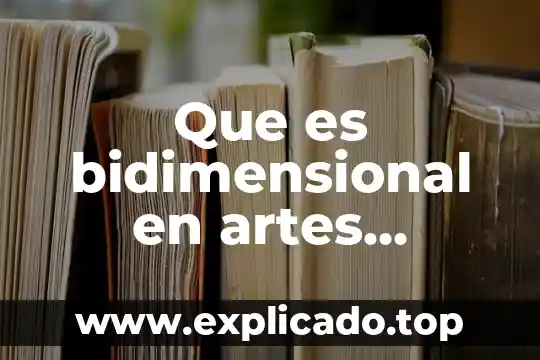 Artes visuales que es el punto 6 Que es bidimensional en artes visuales