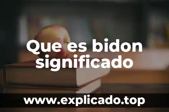 Que es bidon significado