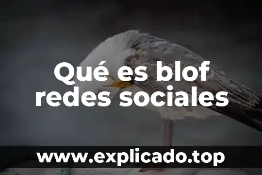 Que es el campo prospectivo de las ciencias sociales 8 Qué es blof redes sociales