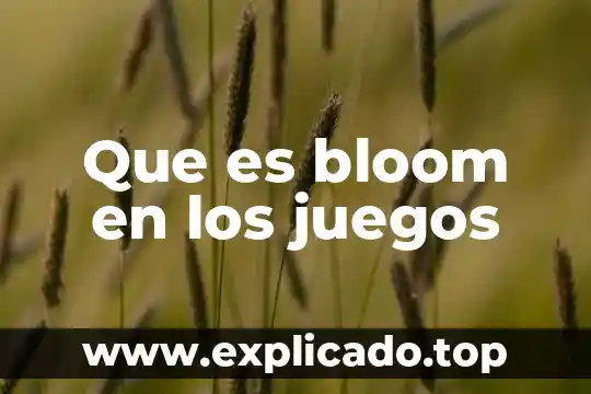 Por que es importante la conciencia fonologica 7 Que es bloom en los juegos