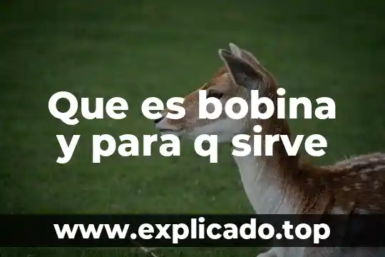 Que es y para que sirve una direccion mac 5 Que es bobina y para q sirve