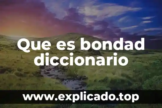 Que es escolarizado diccionario 7 Que es bondad diccionario