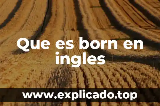 Linkers que es en ingles 8 Que es born en ingles