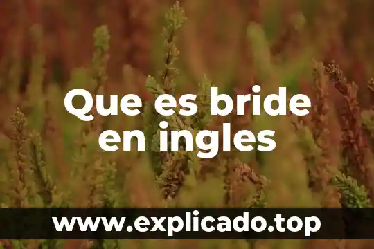 Qué es la comparación y dos ejemplos 5 Que es bride en ingles
