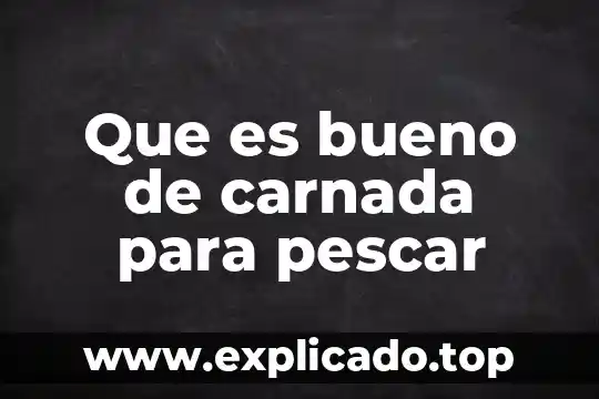 Que es el futuro en ingles 8 Que es bueno de carnada para pescar
