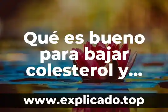 Qué es bueno para bajar la temperatura 7 Qué es bueno para bajar colesterol y triglicéridos