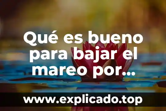 Qué es bueno para bajar la temperatura 4 Qué es bueno para bajar el mareo por alcohol