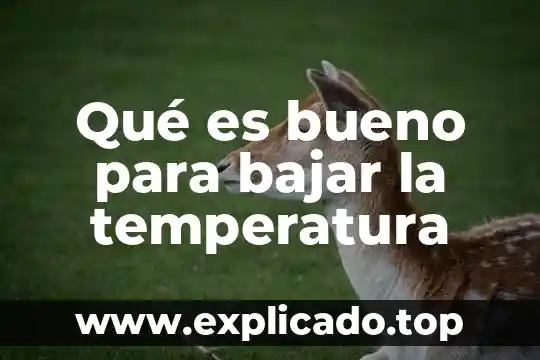 Qué es bueno para bajar la temperatura a un bebé 8 Qué es bueno para bajar la temperatura