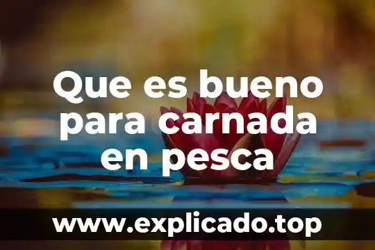Que es bueno para carnada en pesca