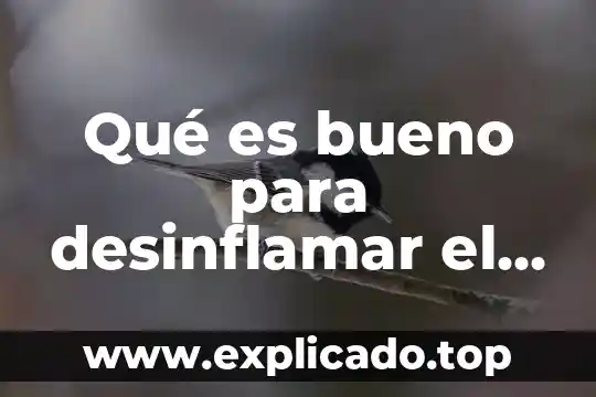 Qué es mejor para desinflamar una quemadura 7 Qué es bueno para desinflamar el intestino por colitis nerviosa