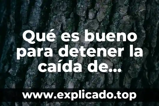 Que es la caida de constantinopla resumen 4 Qué es bueno para detener la caída de cabello