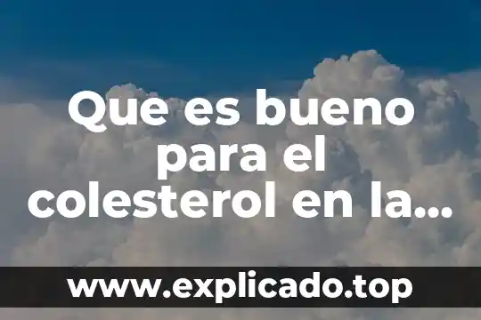 Que es bueno para el colesterol en la sangre