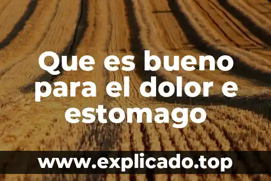 Que es bueno para el dolor e estomago