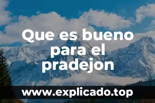 Para que es bueno el fruto arandano 7 Que es bueno para el pradejon