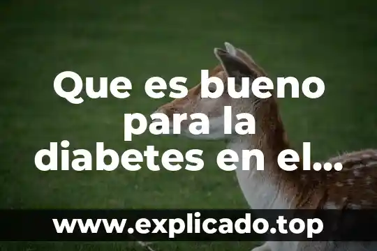 Que es bueno para la diabetes en el embarazo