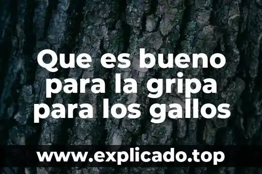 Que es bueno para las alergias en la nariz 5 Que es bueno para la gripa para los gallos