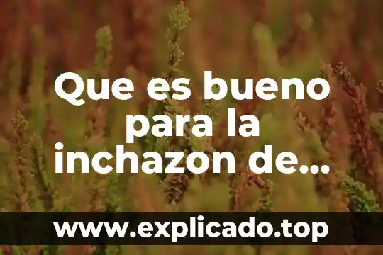 Que es bueno para la inchazon de muelas