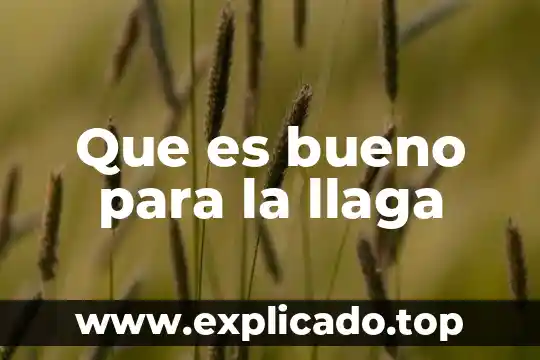 Biletan forte para que es bueno 7 Que es bueno para la llaga