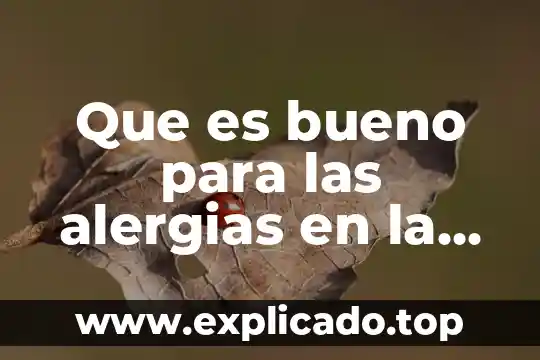 Que es bueno para la gripa para los gallos 3 Que es bueno para las alergias en la nariz