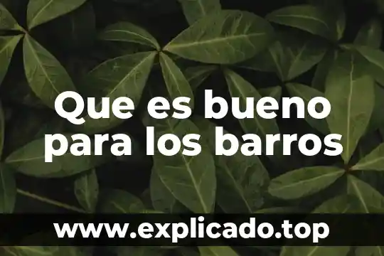 Que es bueno para los barros