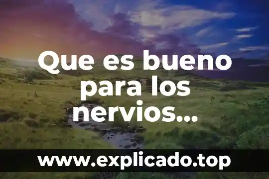 Que es bueno para el dolor de riñones remedios caseros 3 Que es bueno para los nervios remedios caseros