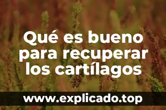 Qué es bueno para recuperar los cartílagos