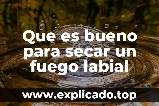 Que es bueno para secar un fuego labial