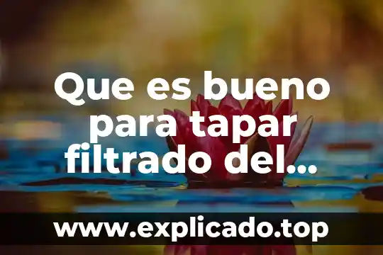 Que es bueno para tapar filtrado del agua