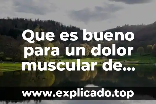 Que es bueno para infeccion y dolor de oido 4 Que es bueno para un dolor muscular de pie