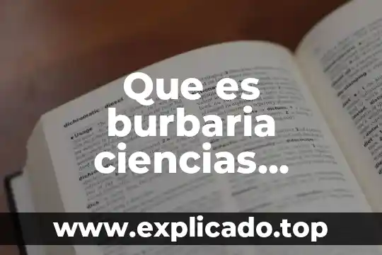 Qué es blof redes sociales 3 Que es burbaria ciencias sociales