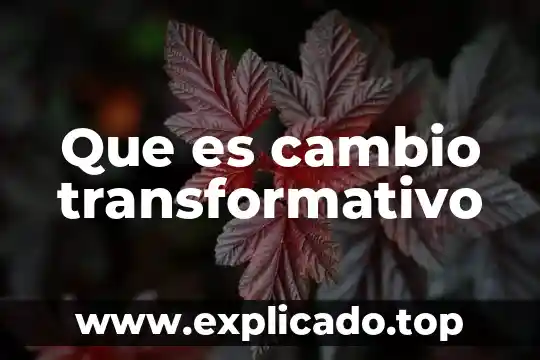 Que es cambio transformativo