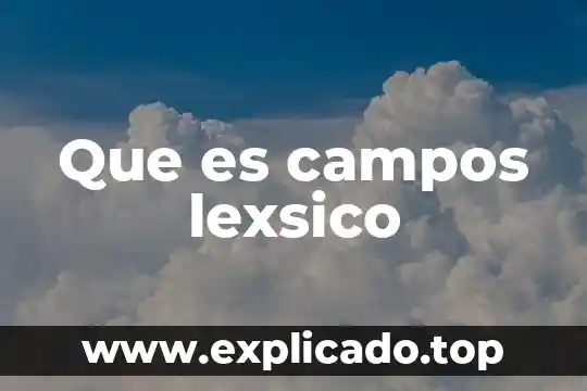 Campos disciplinares que es 3 Que es campos lexsico