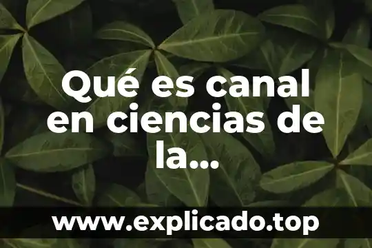 En comunicación que es un canal 8 Qué es canal en ciencias de la comunicación