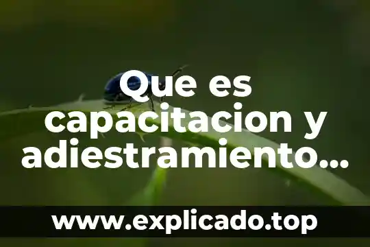 Que es verso blanco y da un ejemplo 4 Que es capacitacion y adiestramiento y da un ejemplo