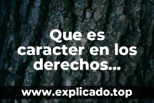 Que es caracter en los derechos humanos