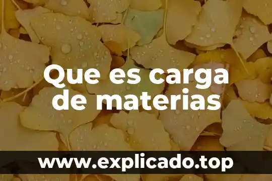 Que es una carga transitoria 8 Que es carga de materias