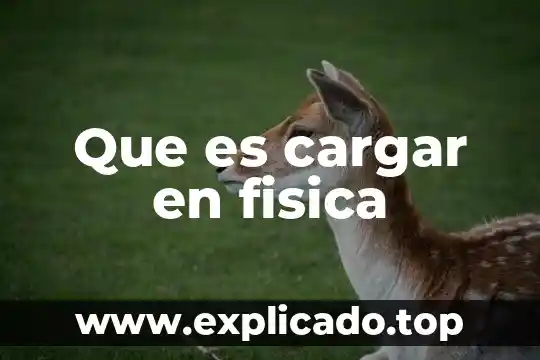 Que es terapia fisica integral sod 198 295 4 Que es cargar en fisica