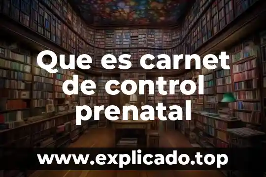 Que es carnet de control prenatal