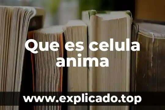 Que es la pro anima en un testamento 3 Que es celula anima