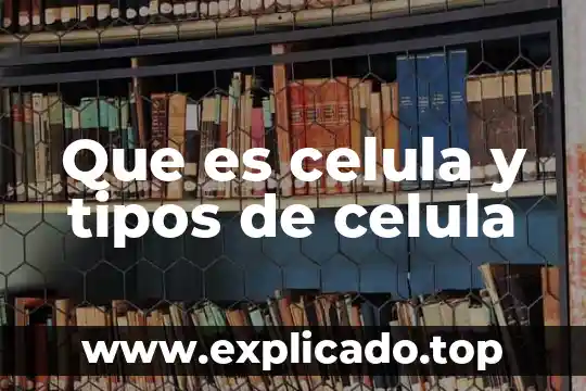 Qué es la educación y sus tipos 4 Que es celula y tipos de celula